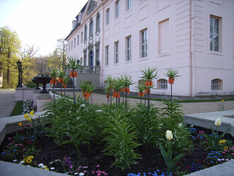 Ausflugsziele Cottbus mit Kindern Familien-Paradiese