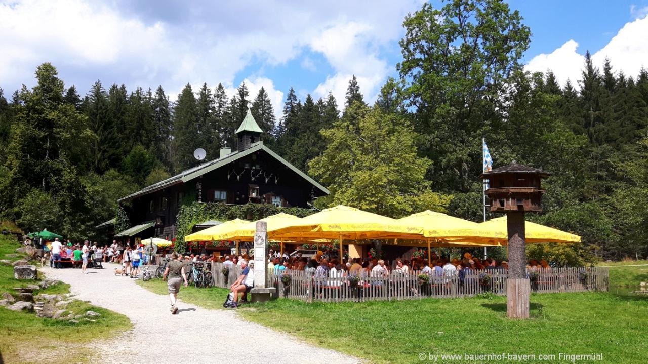 Bayerischer Wald Ausflugsziele Senioren Entdeckungsreise