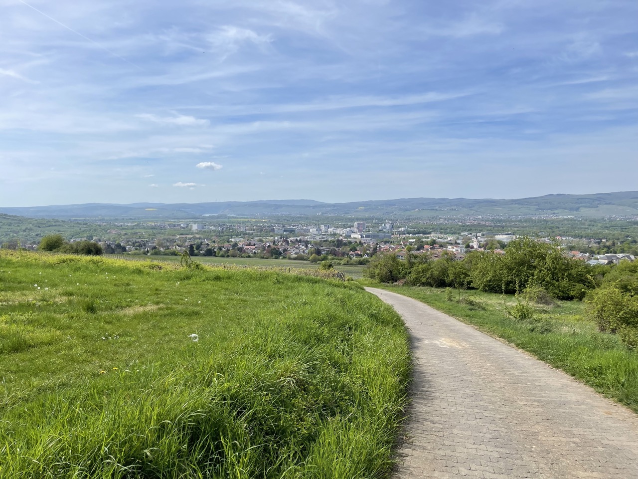 Ausflugsziele Mainz-Bingen mit Kindern Familien-Paradies