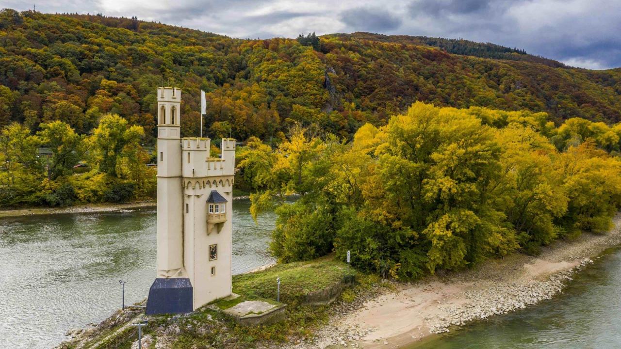 Ausflugsziele Mainz-Bingen mit Kindern Familien-Paradies