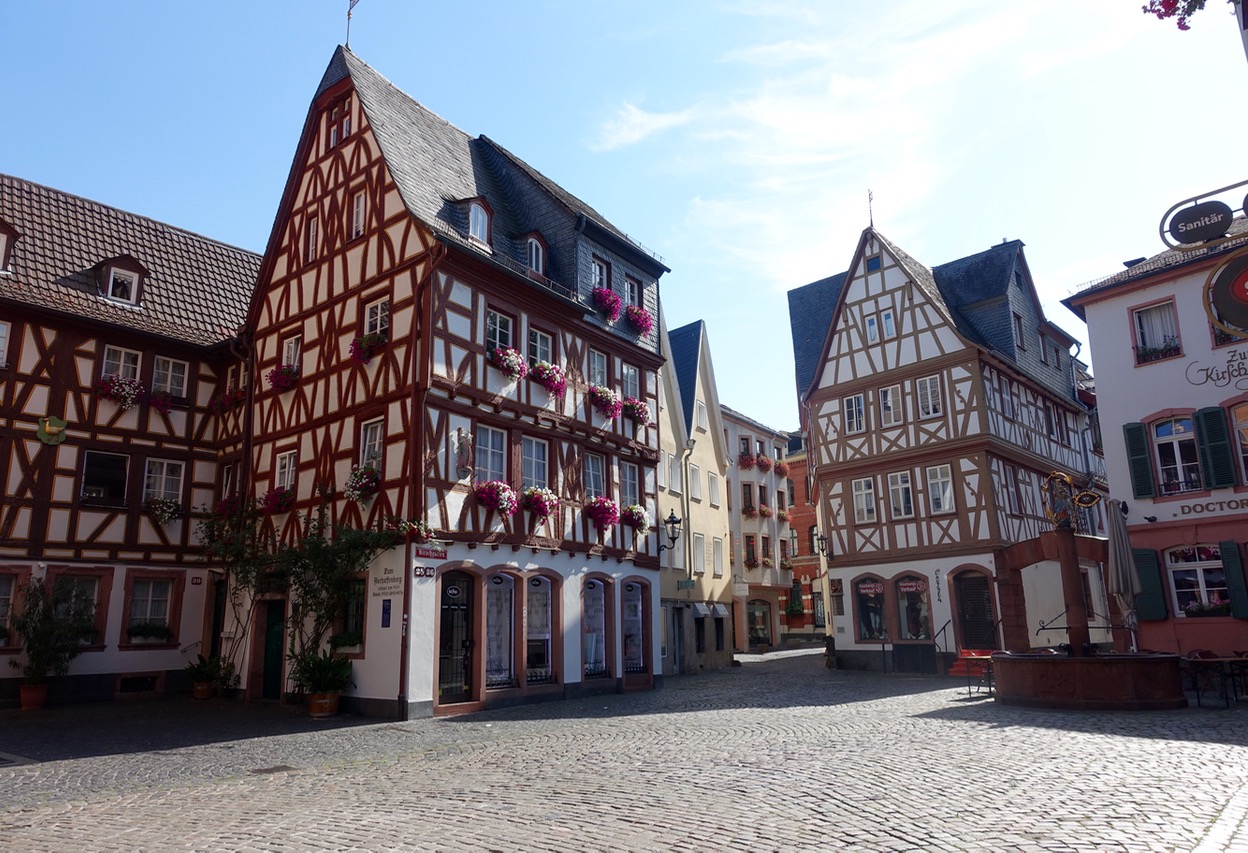 Ausflugsziele Mainz und Umgebung mit Kindern Familien-Paradies