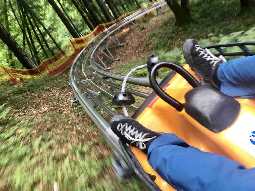 Ausflugsziele Zollernalbkreis mit Kindern Familien-Paradies