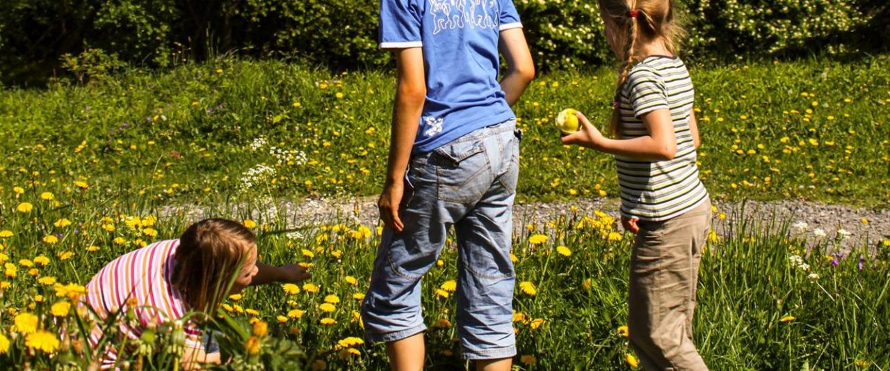 Hof-Ausflüge mit Kindern Top-Ziele