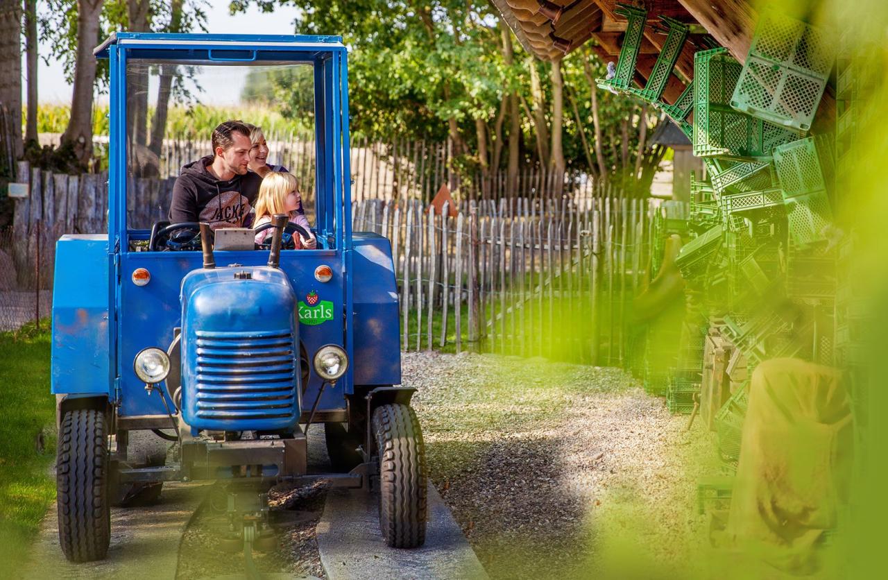 Hof-Ausflüge mit Kindern Top-Ziele