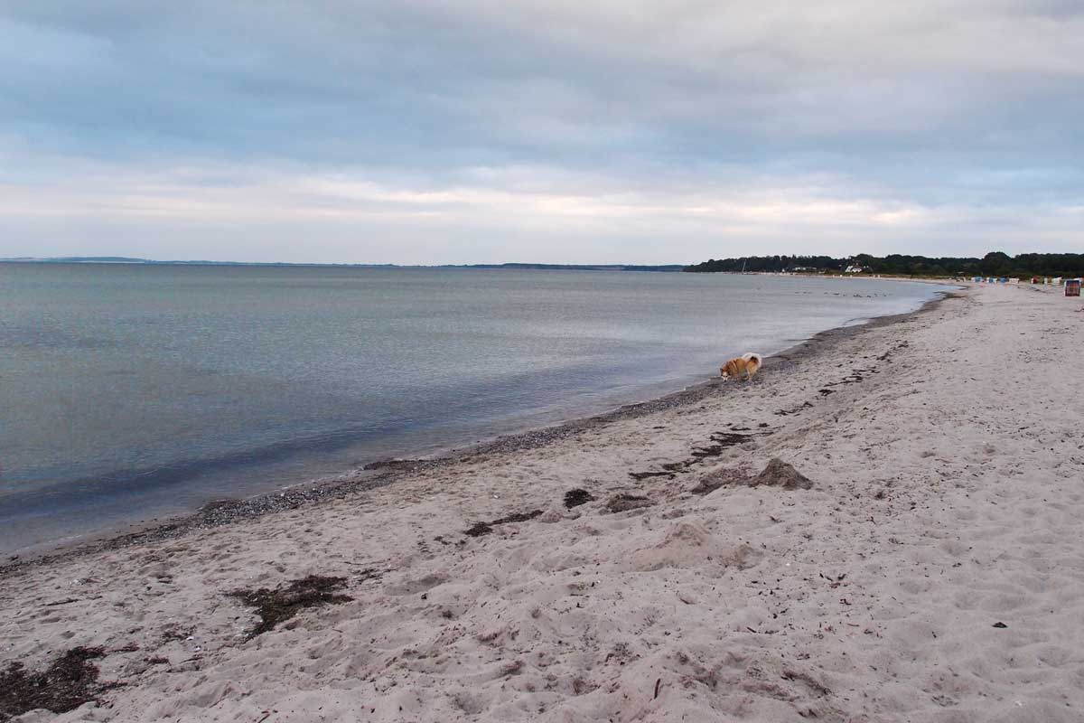 Ostfriesland mit Hund Ausflugsziele & Abenteuer Ostfriesland mit Hund Ausflugsziele & Abenteuer