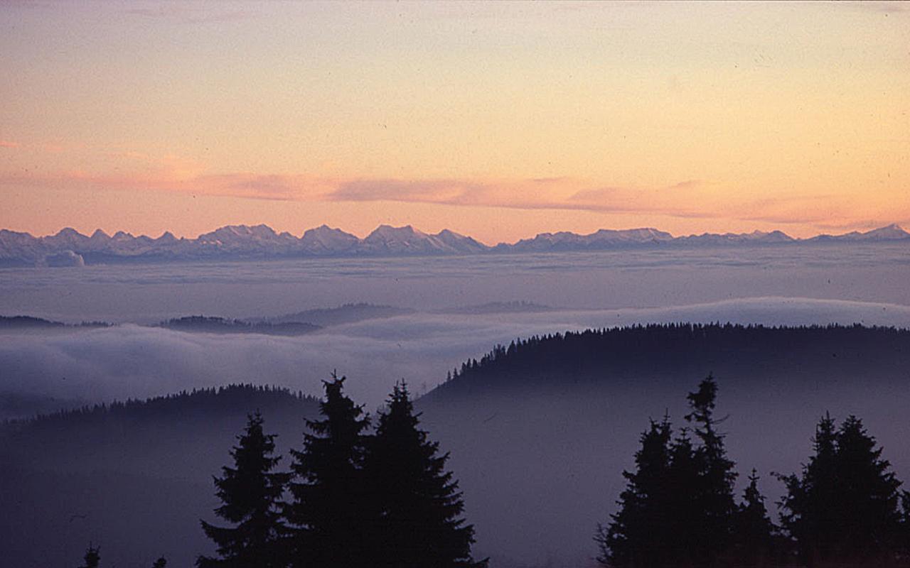 Feldberg Ausflugsziele Kinder Familien-Erlebnisse Feldberg Ausflugsziele Kinder Familien-Erlebnisse