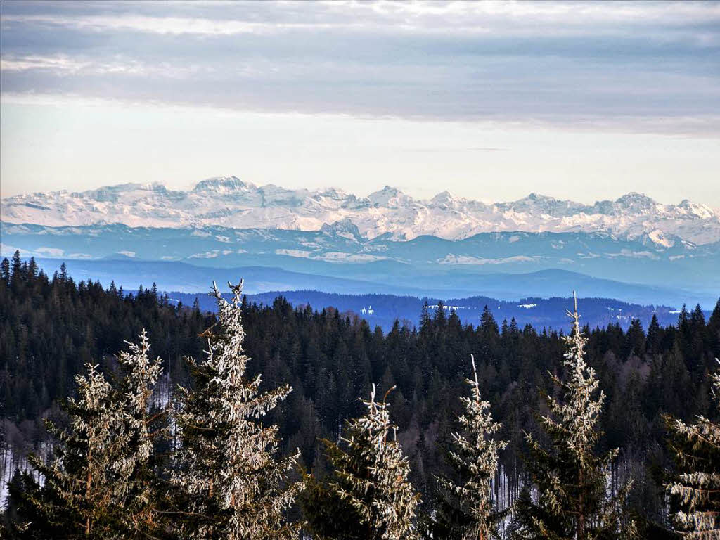 Feldberg Ausflugsziele Kinder Familien-Erlebnisse Feldberg Ausflugsziele Kinder Familien-Erlebnisse