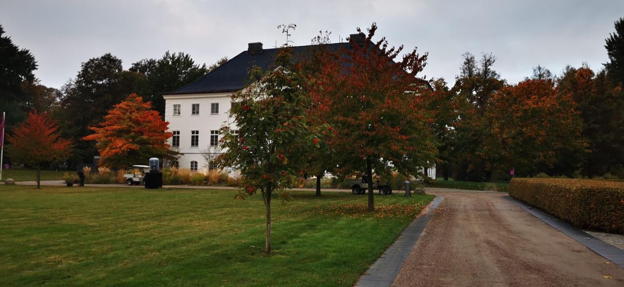 Großschwanssee Ausflugsziele Ein Paradies für Familien Großschwanssee Ausflugsziele Ein Paradies für Familien