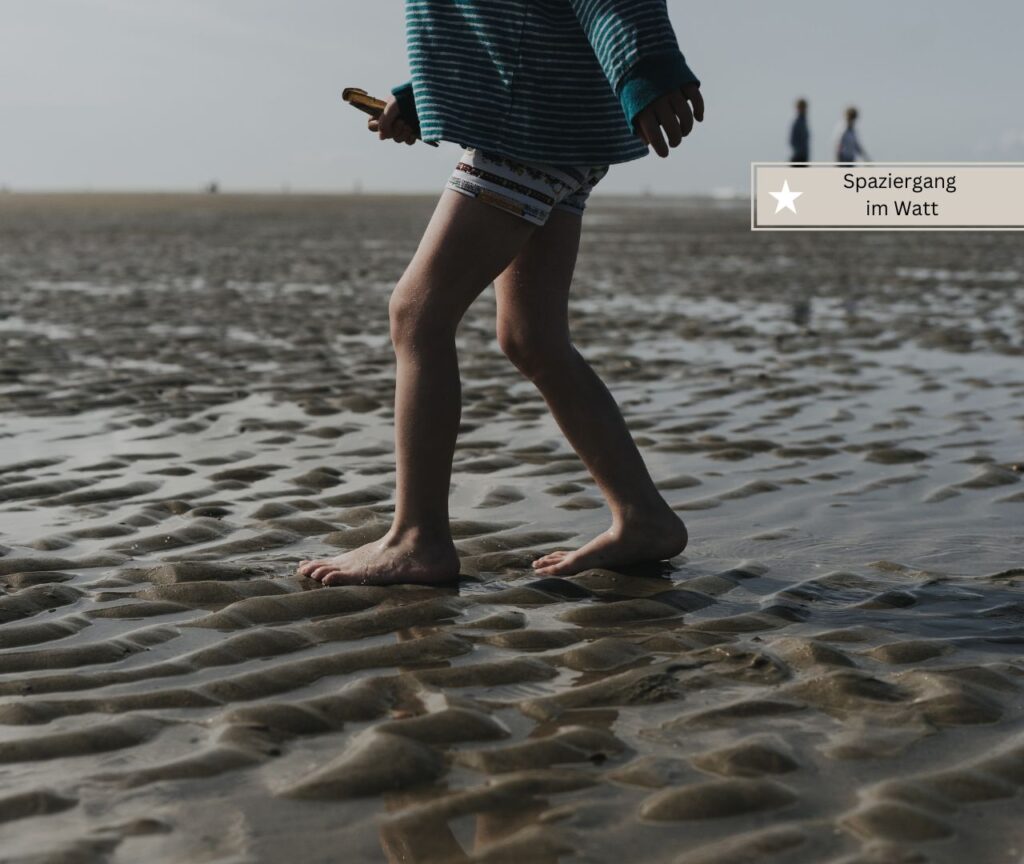 Nordsee Ausflugsziele mit Kindern Familienparadiese Nordsee Ausflugsziele mit Kindern Familienparadiese
